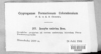Image Associated With the Occurence